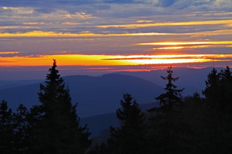 Abendlicher Blick vom Clemensberg.jpg